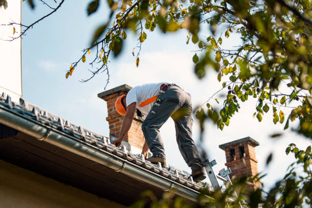 Best Storm Damage Roof Repair  in St George, MO