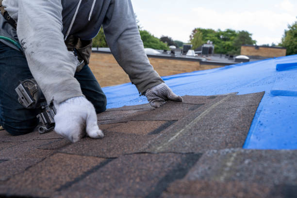 Best Commercial Roof Installation  in St George, MO